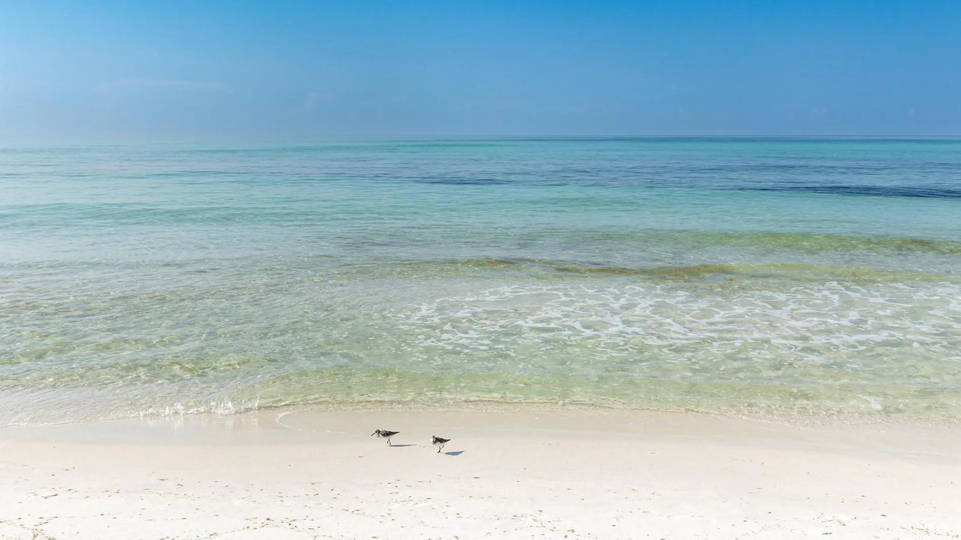 Apartment Sandpiper Cove 8245- By Holiday Isle Properties Destin